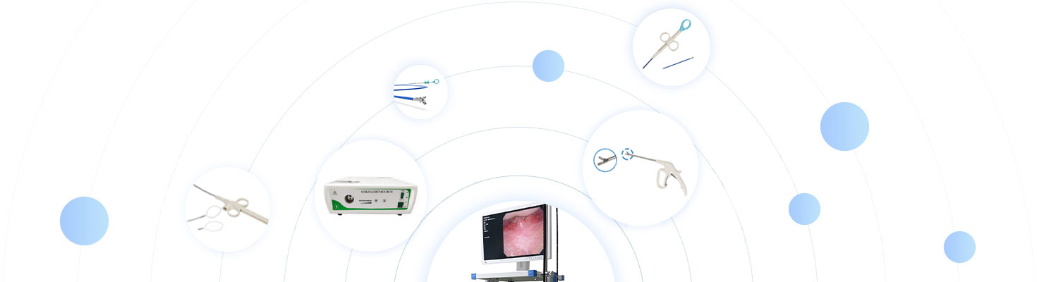 为什么选择我们？